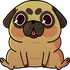 Tudo sobre Pug